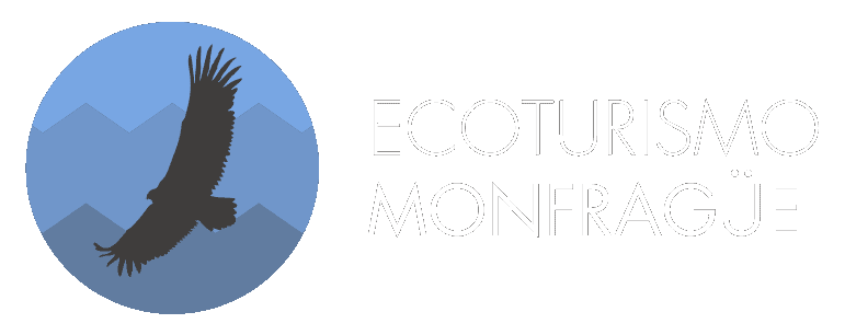 ECOTURISMO MONGRAGÜE.webp