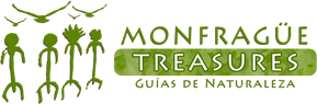 MONFRAGÜE TREASURES.webp